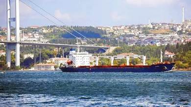 ​لبنان يرفض شراء الذرة الأوكرانية المتوجهة لميناء طرابلس على متن سفينة "رازوني" 